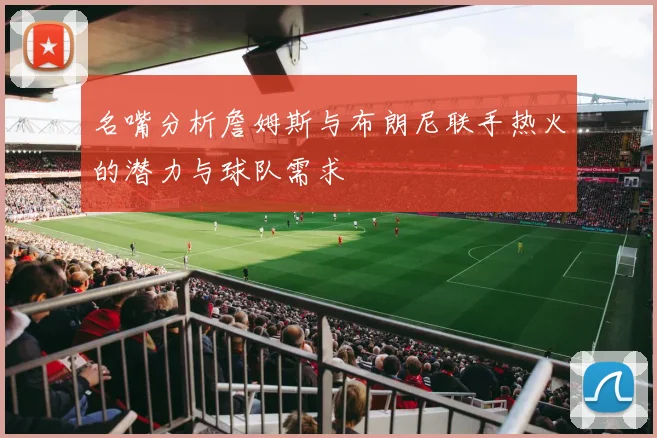 名嘴分析詹姆斯与布朗尼联手热火的潜力与球队需求